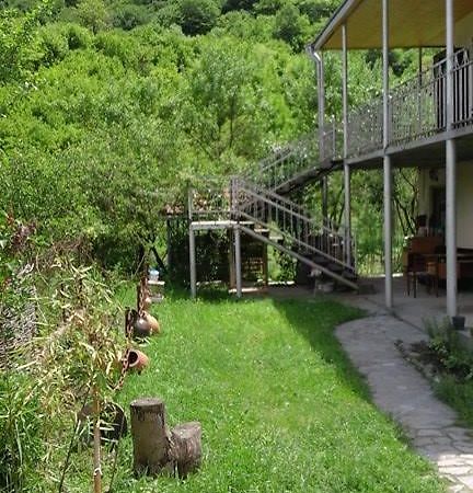 Marine'S Guest House Ananuri Exterior photo
