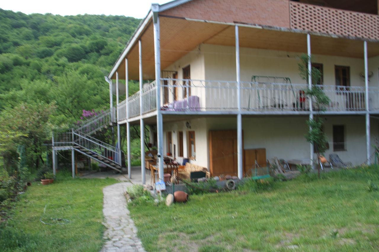 Marine'S Guest House Ananuri Exterior photo