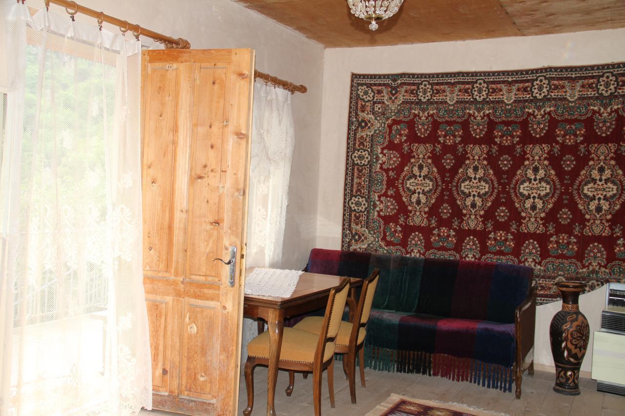 Marine'S Guest House Ananuri Exterior photo