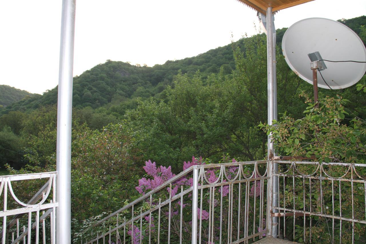 Marine'S Guest House Ananuri Exterior photo