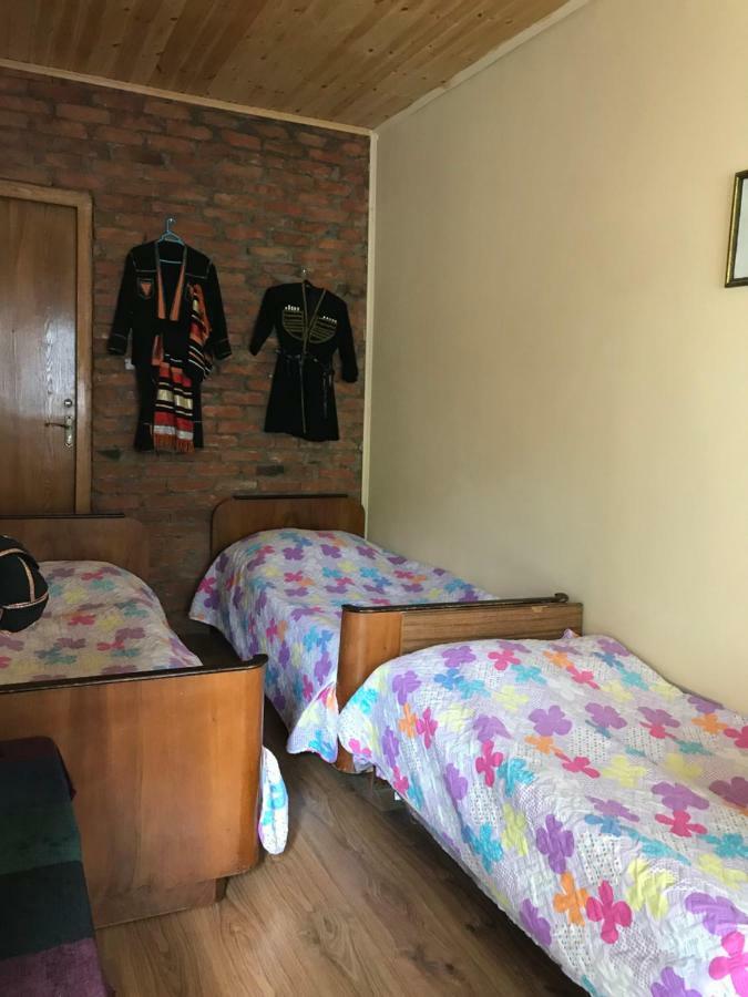 Marine'S Guest House Ananuri Exterior photo