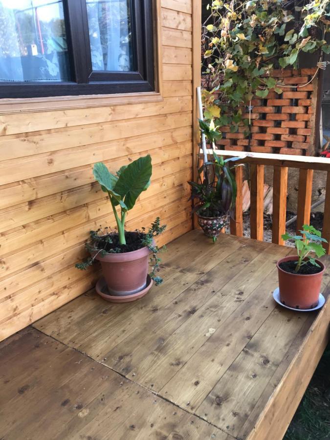 Marine'S Guest House Ananuri Exterior photo